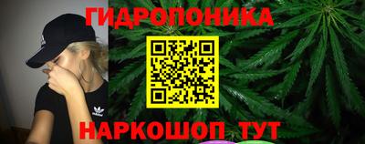 прущие грибы Кимры