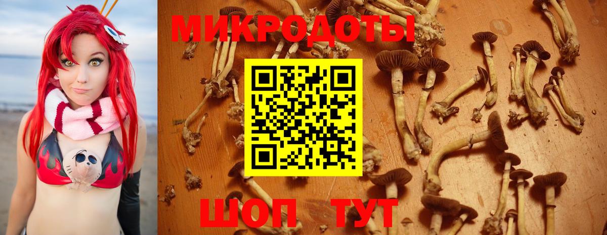 Галлюциногенные грибы Psilocybe  Галлюциногенные грибы ЛСД  Курчатов  Вход с VPN 